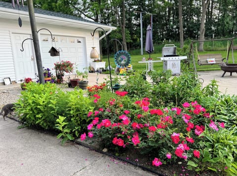 Garden and flowers galore! Enjoy the flowers all around.