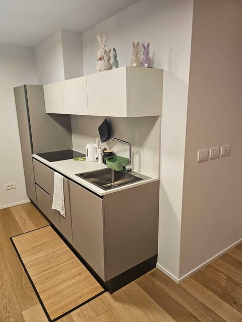 Superior Townhome, City View | Private kitchen | Full-size fridge, stovetop, dishwasher, electric kettle