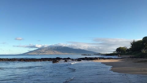 Kamaole Beach III is right across the street from our complex
