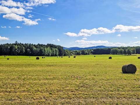 Blue, Sky, Green, Grass, Tree, Natural Environment, Grassland, Cloud, Plain, Natural Landscape