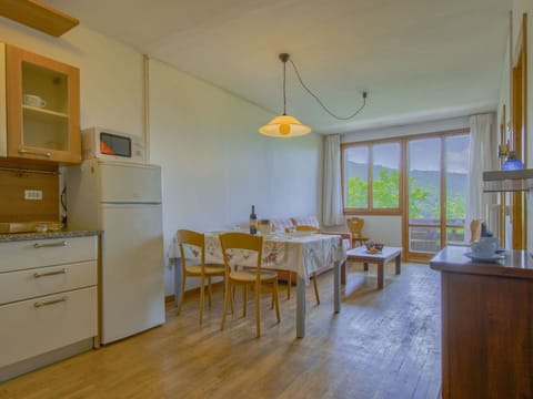 Shade, Balcony, Houseplant, Flowerpot