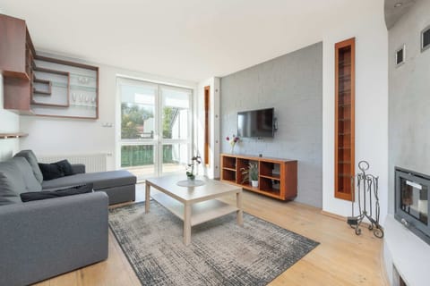 A cosy living room in tones of grey. Living room equipped with a sofa bed. 