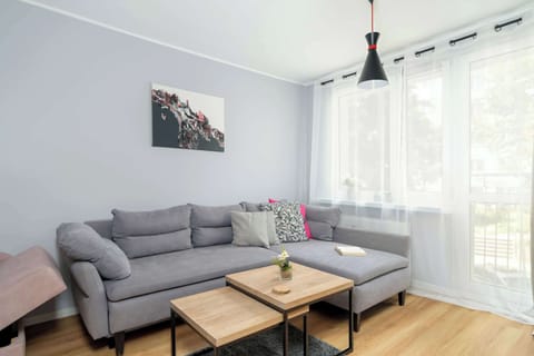 A bright living room with a gray sectional sofa, light wood flooring, and sheer curtains letting in plenty of daylight.