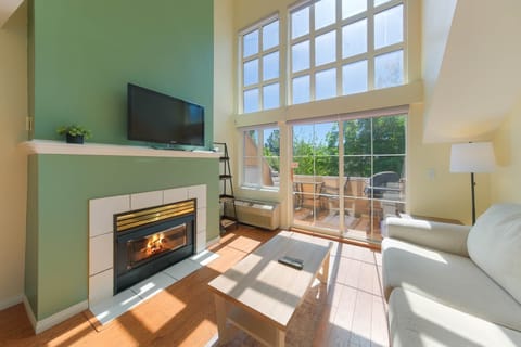 Unit 313 Living Area