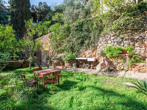 Vegetation, Shrub, Garden, Plant Community, Groundcover, Backyard, Landscaping, Yard, Botanical Garden, Eco Hotel