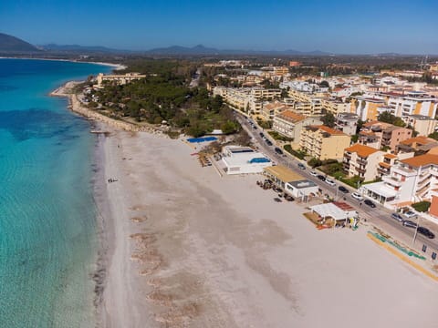 Building, Window, City, Town, Public Space, Umbrella, Urban Area, Neighbourhood, Street