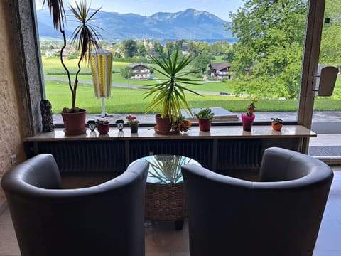 Furniture, Chair, Interior Design, Table, Flowerpot, Houseplant, Shade, Coffee Table, Living Room