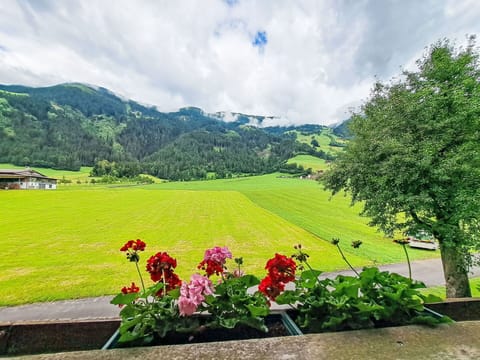 Green, Mountainous Landforms, Hill, Landscape, Mountain, Highland, Rural Area, House, Grassland