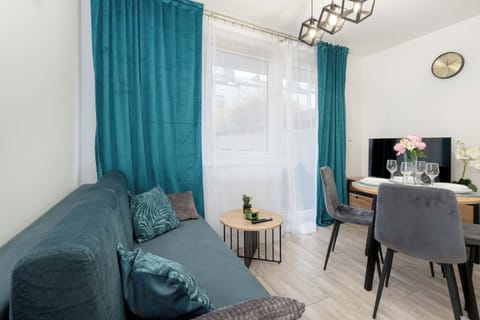 A modern living room featuring a sofa, a round coffee table, and TV. Turquoise curtains hang in the window to add lightness.