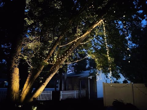 Enjoy sitting round a fire under the magic of this century old Maple 