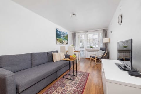 A bright living room with a gray sofa, a white TV stand, and a large window allowing natural light to enter. A painting of a mountain landscape decorates the wall.