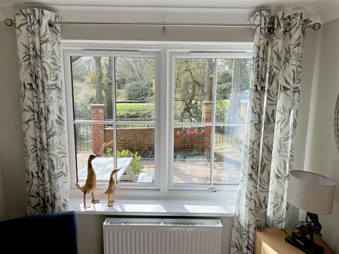 Looking out to the front garden