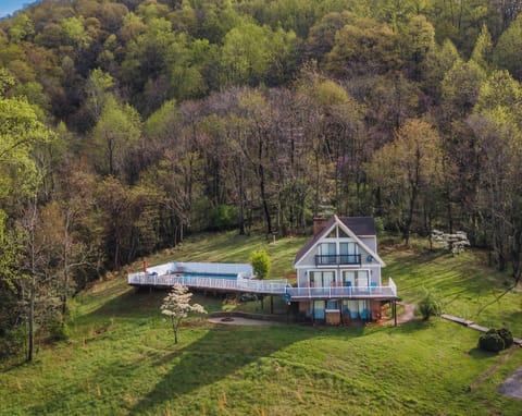 The House