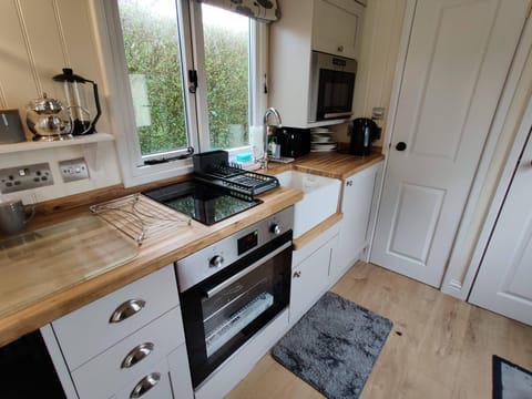 Duck House - 1 Bed Shepherds Hut - Gower (7686)