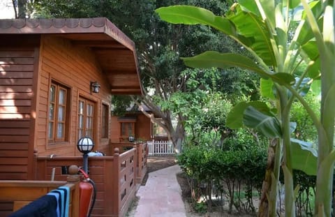 Traditional Bungalow, Balcony, Garden View