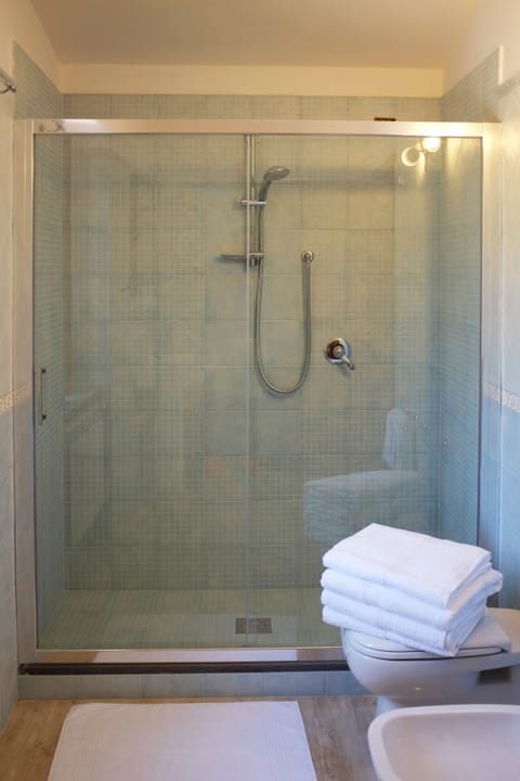 Shower, rainfall showerhead, hair dryer, bidet