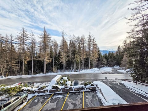 Tree, Branch, Winter, Snow, Freezing, Trunk, Morning, Larch, Frost