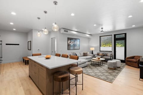 Kitchen to living
