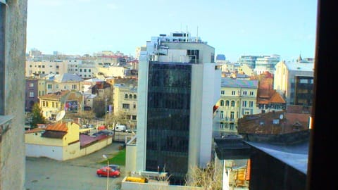 vue depuis le living