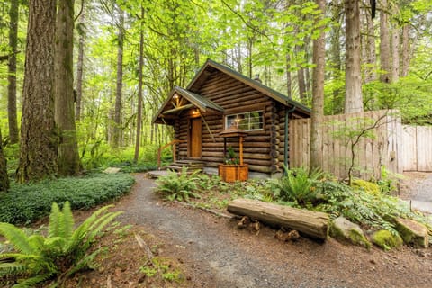 Copper Creek Log Cabin | Premium bedding