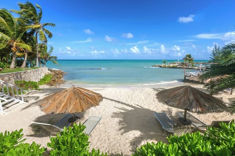 On the beach, beach umbrellas, beach towels