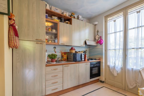 Apartment, Balcony, City View | Private kitchen | Fridge, microwave, oven, stovetop