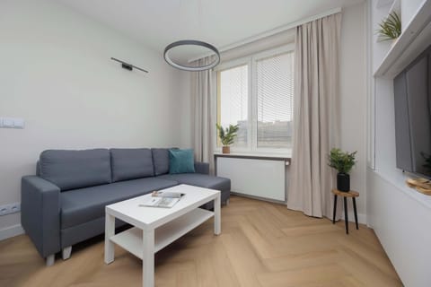 Living room with a comfortable sofa and TV.