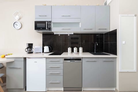 An open-plan kitchenette and living area. The kitchen is equipped with modern gray cabinets and black tile backsplash. The living room has a similar sofa and décor.