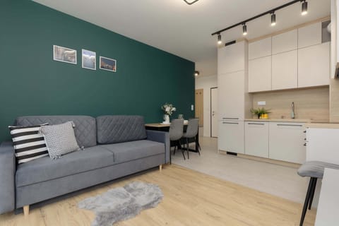 Living room with kitchenette.