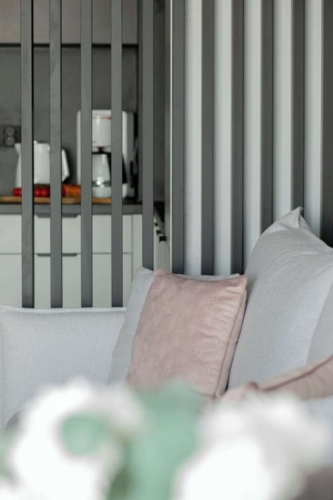 Comfortable, fold-out sofa in the living room.