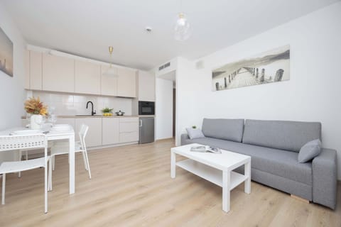 Bright living room with coffee table, grey double sofa bed, white dining table with chair and functional kitchenette.