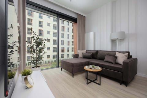 A modern studio with a large window letting in plenty of natural light, featuring a comfortable sofa and a stylish coffee table.