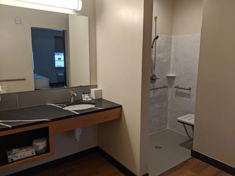 Accessible King | Bathroom | Shower, designer toiletries, hair dryer, towels