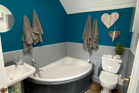 Combined shower/tub, deep soaking tub, hair dryer, towels