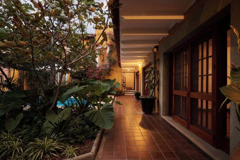 Corredor al atardecer/ Corridor afternoon