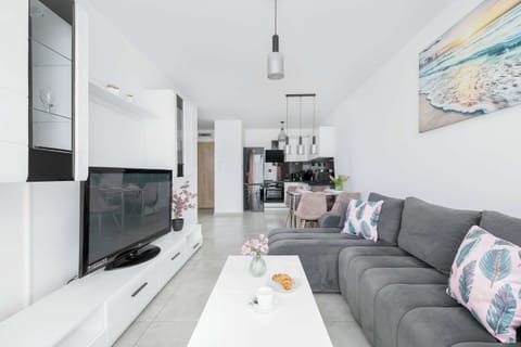 The living area features a sleek coffee table and a flat-screen television.