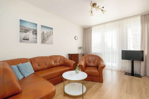 Cozy living area with fold-out sofa and TV.