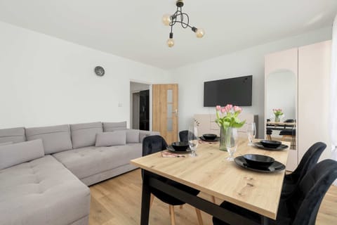 A bright, spacious room with a sofa bed, dining table, closet and wall-hung TV.
