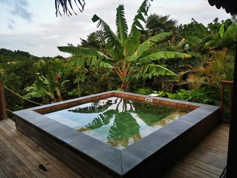 gite-horizon-balisiers-vue-piscine-jardin-tropical