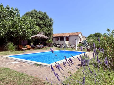 Autumn, Pool, Spring, Summer