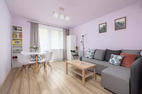 A bright, cozy room with a double sofa bed, coffee table, with a closet and large windows that let in natuale light.