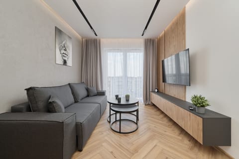 Living room with double sofa bed.