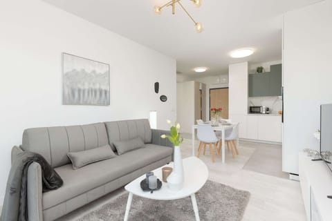 Living room with double sofa bed.