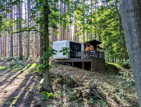 Tiny house and kitchen