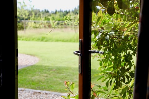 French doors leading into the garden from the Master bedroom