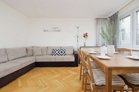 Comfortable, fold-out sofa in the living room. 