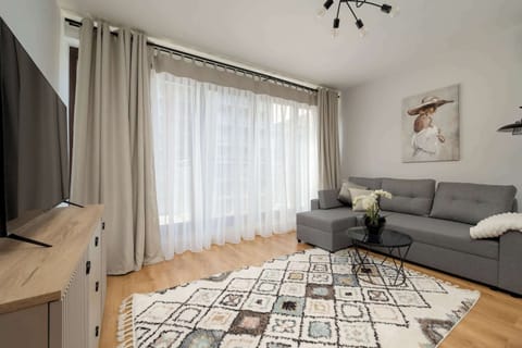 Living room with a comfortable sofa and TV. 