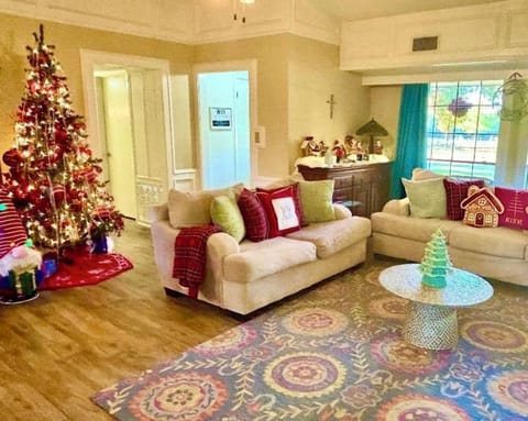 I love Christmas & I start decorating early! (Pic taken. Nov. 2025)
