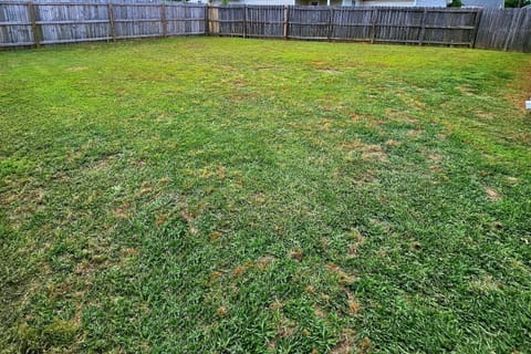 Spacious fenced-in backyard.