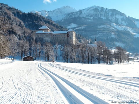 Snow, Winter, Mountainous Landforms, Mountain, Glacial Landform, Landscape, Highland, Mountain Range, Hill, Hill Station